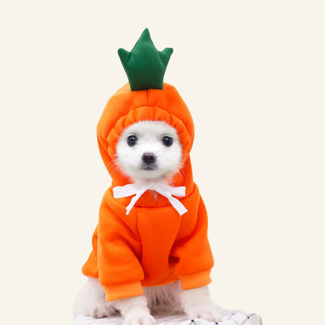 Cute Dog Autumn and Winter Clothing