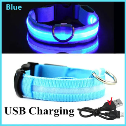 LED Dog Adjustable Collar