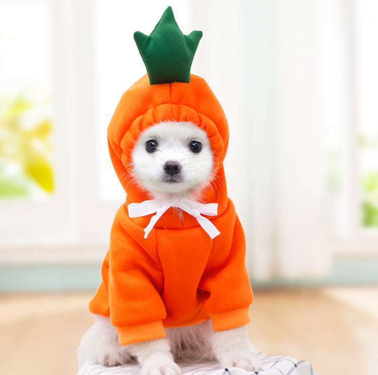 Cute Dog Autumn and Winter Clothing