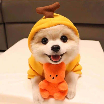 Cute Dog Autumn and Winter Clothing