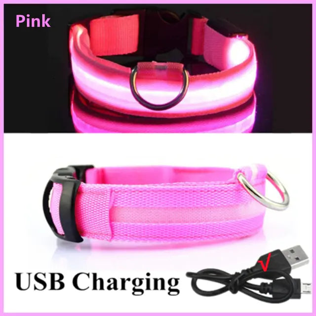 LED Dog Adjustable Collar