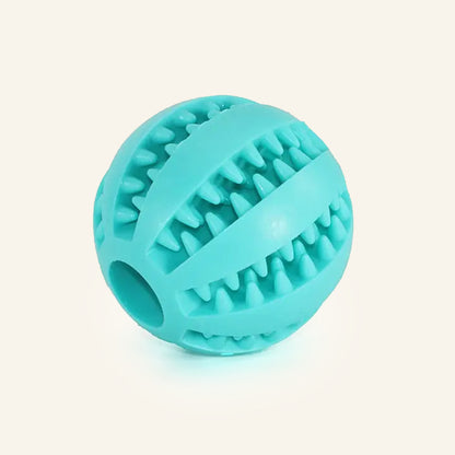 Watermelon Ball Dog Toy