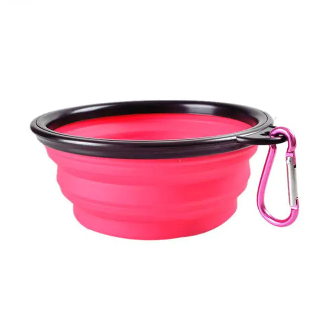 Colorful Dog Bowl