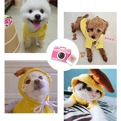 Cute Dog Autumn and Winter Clothing