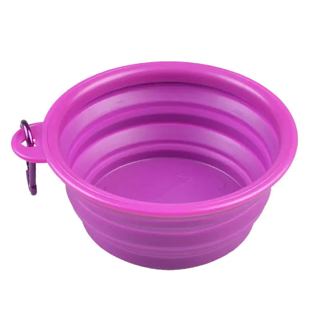 Colorful Dog Bowl