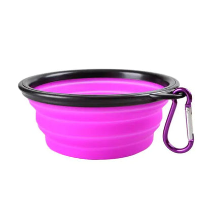 Colorful Dog Bowl