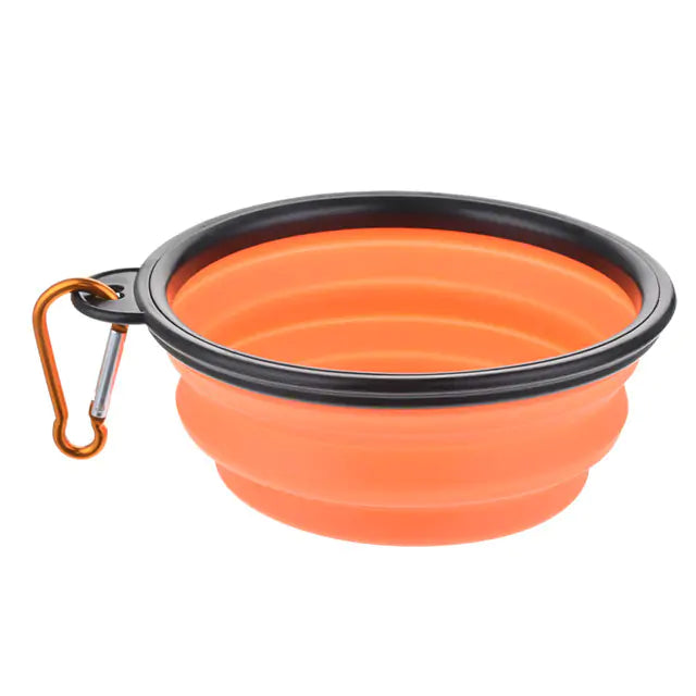 Colorful Dog Bowl