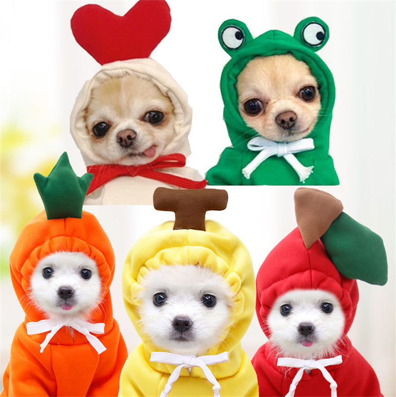 Cute Dog Autumn and Winter Clothing