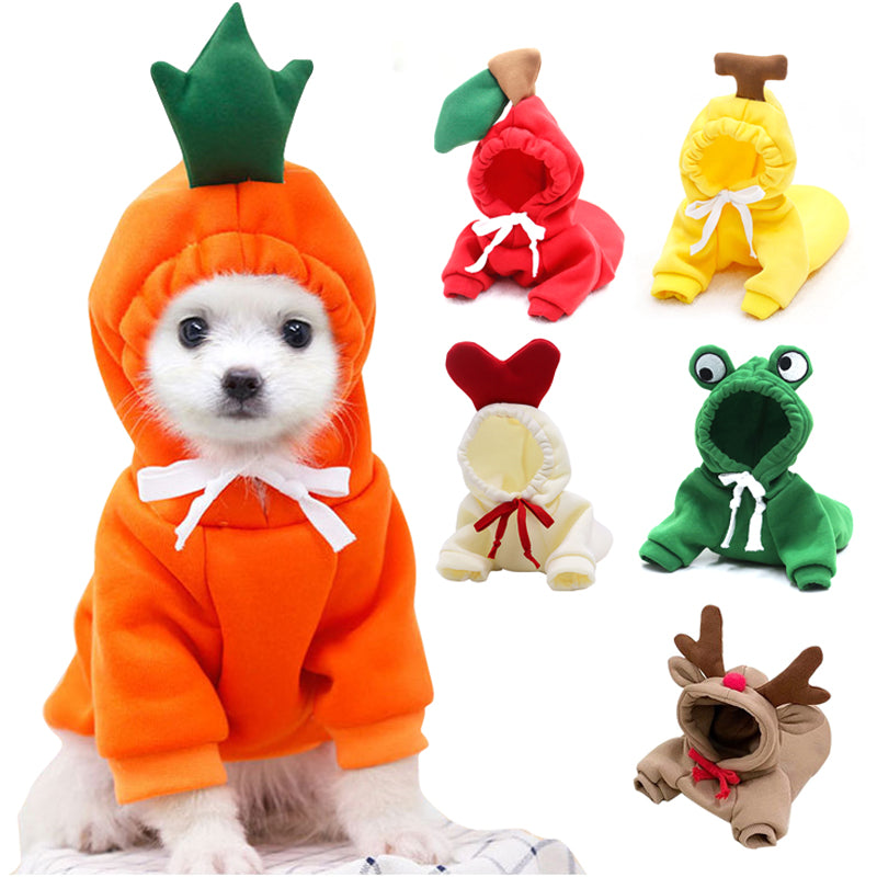 Cute Dog Autumn and Winter Clothing