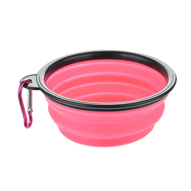 Colorful Dog Bowl