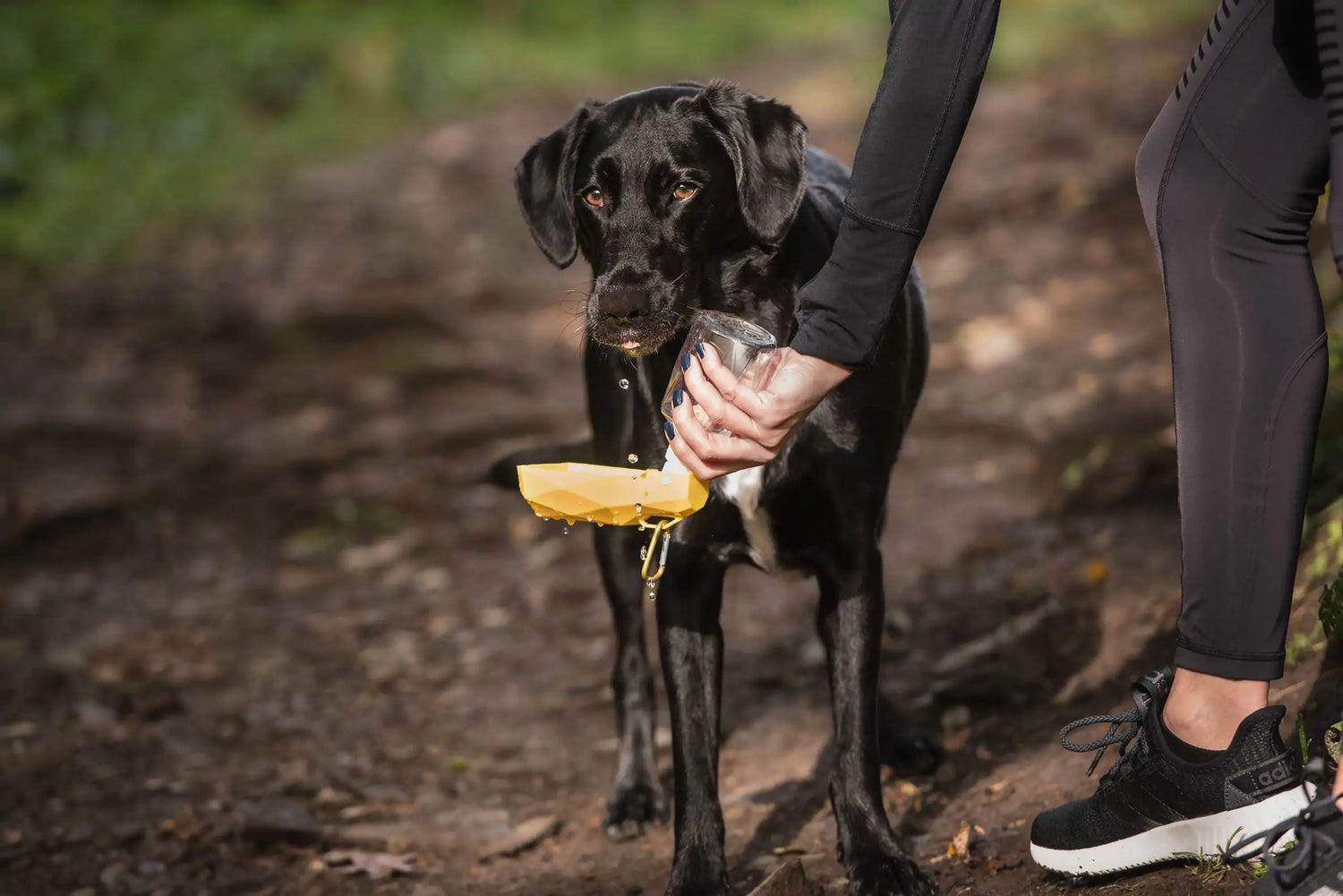 Foldout Dog Water Bottle