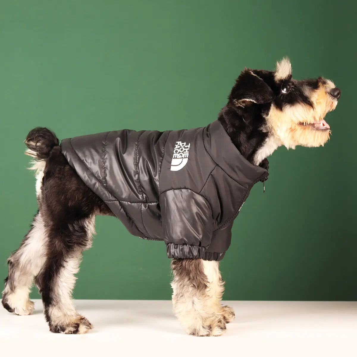 Windproof Winter Dog Clothes