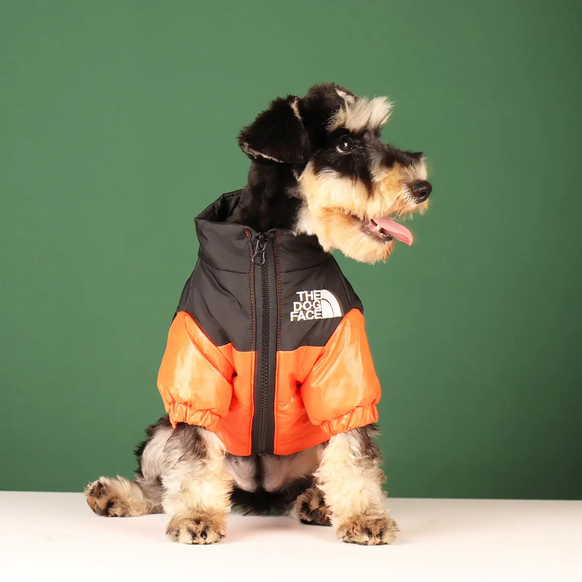 Windproof Winter Dog Clothes