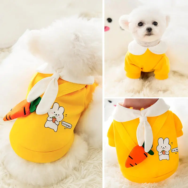 Satchel Dog Clothing