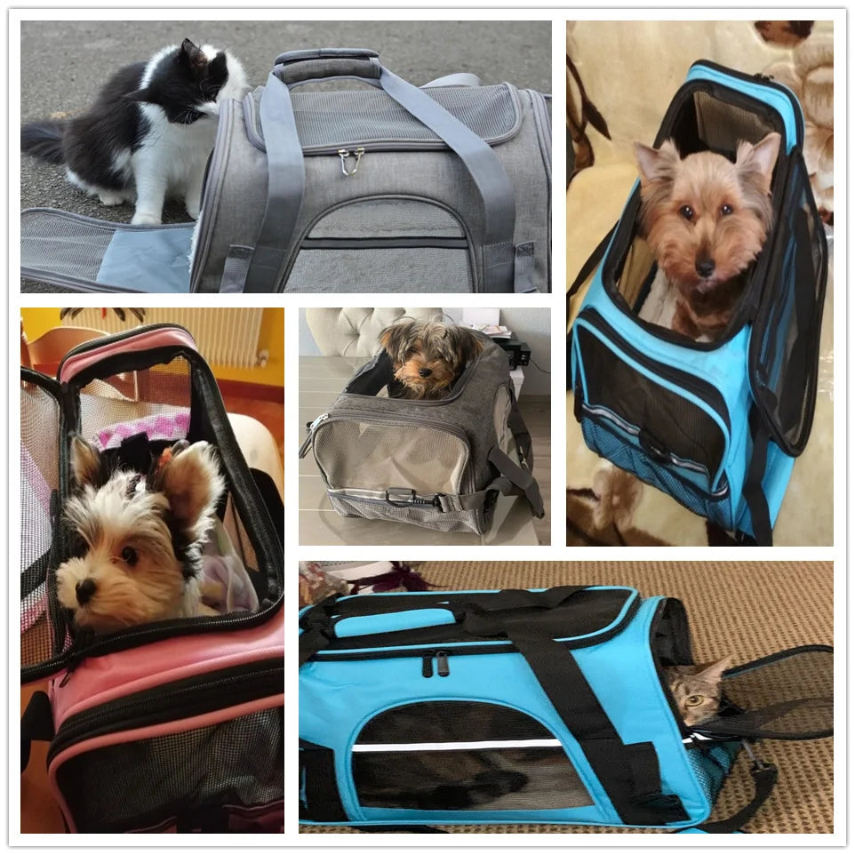 Dog  Carrier - The Ultimate Travel Bag