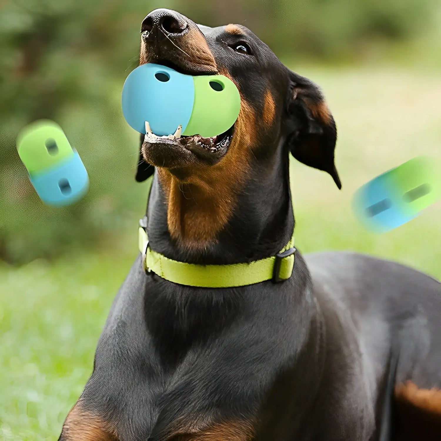 Doggie Treat Toy