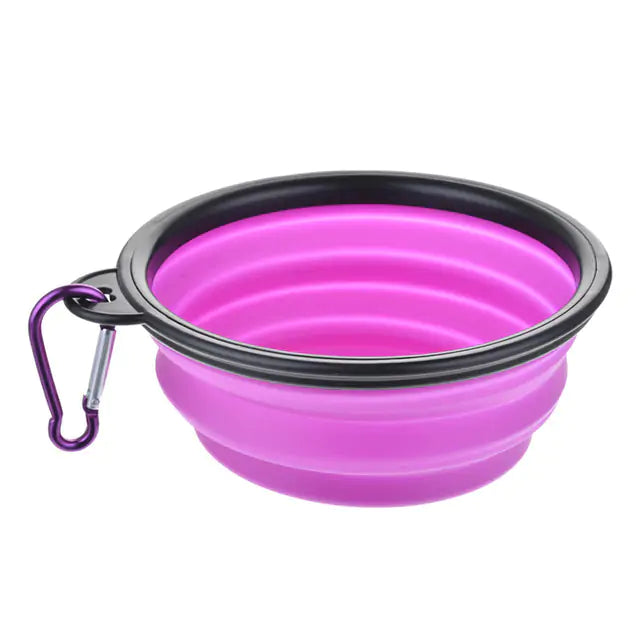 Colorful Dog Bowl