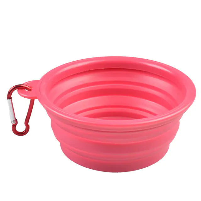 Colorful Dog Bowl