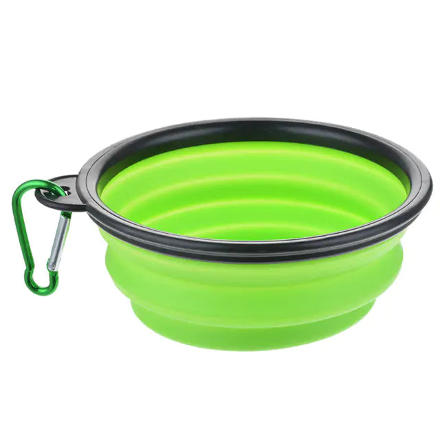 Colorful Dog Bowl