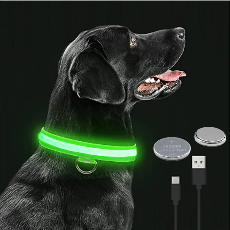 LED Dog Adjustable Collar