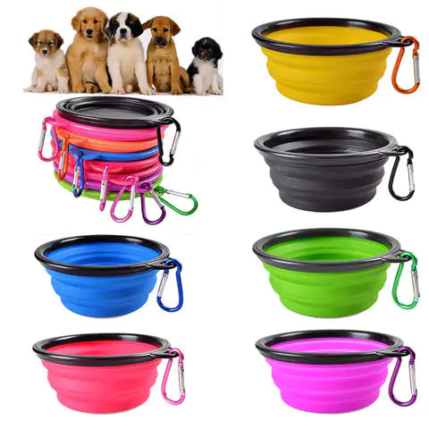 Colorful Dog Bowl