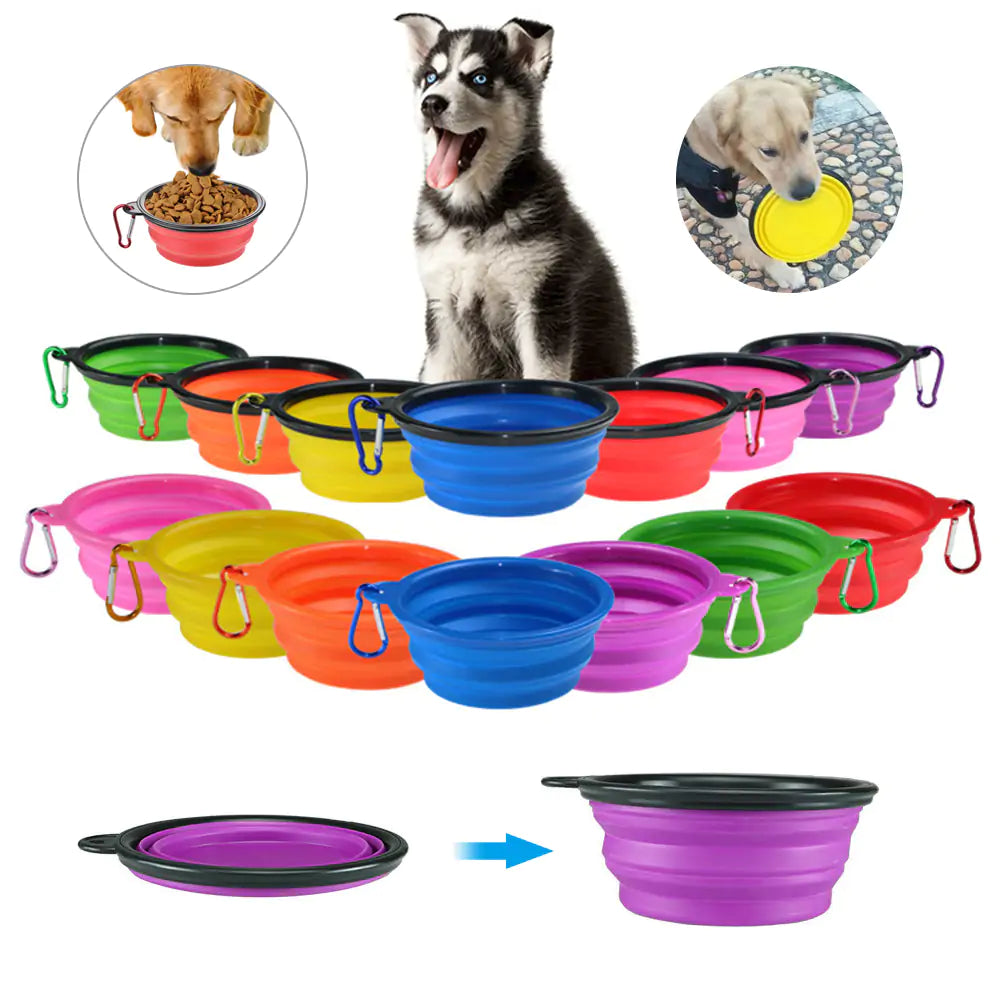 Colorful Dog Bowl