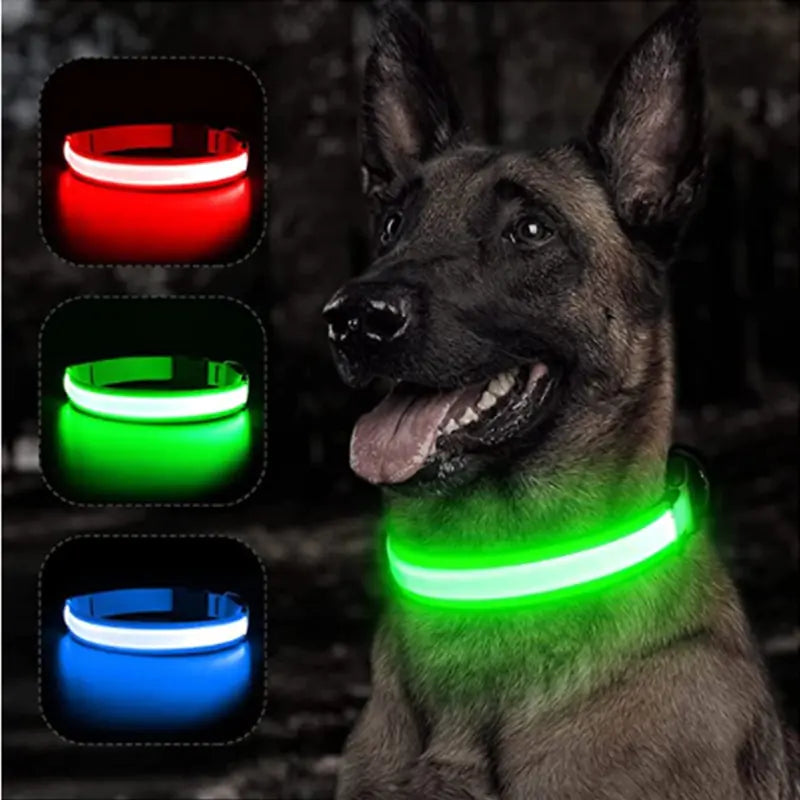 LED Dog Adjustable Collar