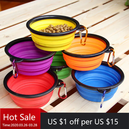 Colorful Dog Bowl