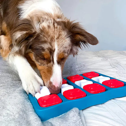 Doggie Treasure Box Toy