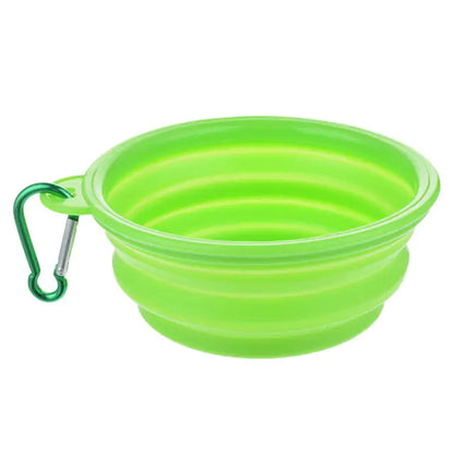 Colorful Dog Bowl