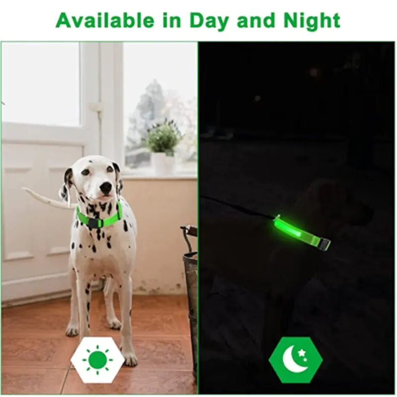 LED Dog Adjustable Collar