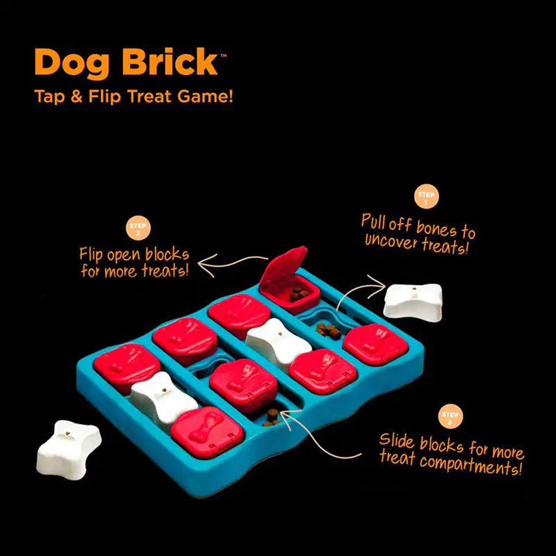 Doggie Treasure Box Toy