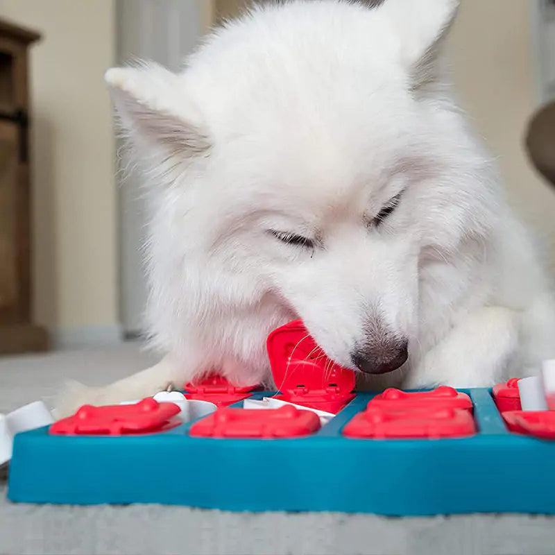 Doggie Treasure Box Toy