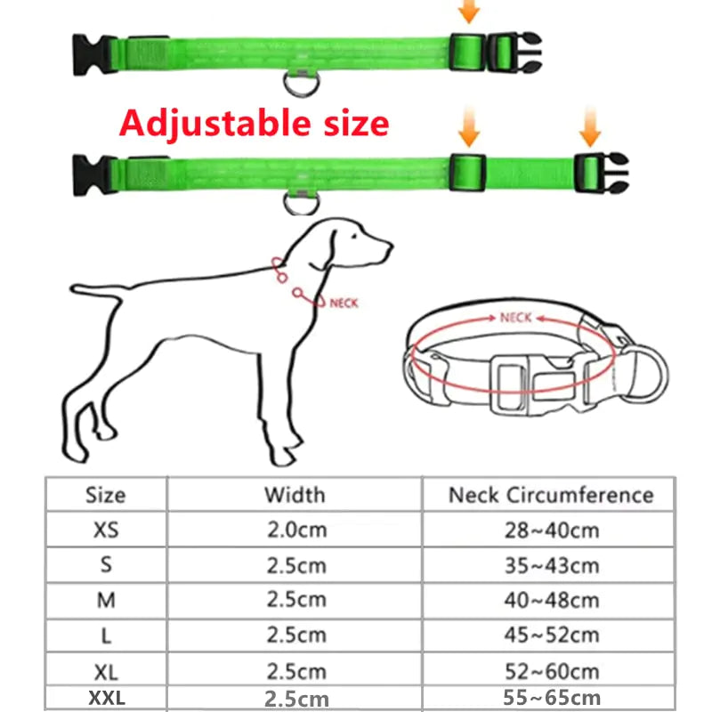 LED Dog Adjustable Collar